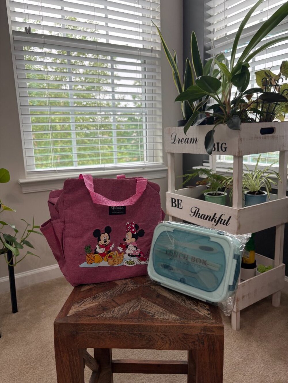 Brivilas Pink Mickey and Minnie Mouse, insulated lunch bag, and Blue Bento Box